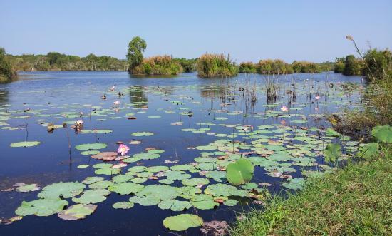 Rayong Botanical Garden